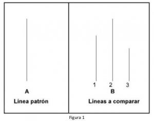 experimento-asch2